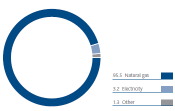 Energy consumption (%) (pie chart)