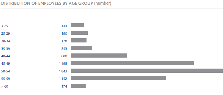 Distribution of employees by age group (bar chart)