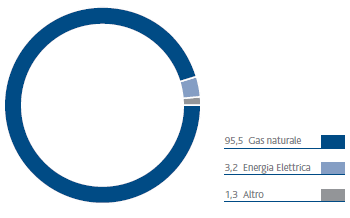 Consumi energetici (%) (grafico a torta)