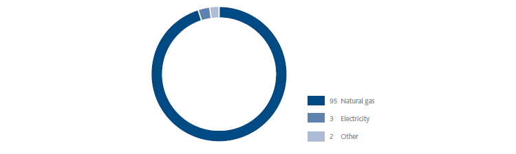 Energy consumption by energy source (pie chart)
