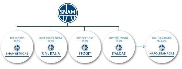 Il gruppo Snam (Grafico)
