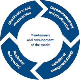 Maintenance and development of the model (Graphic)