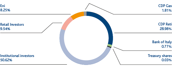 Shareholders Structure (pie chart)