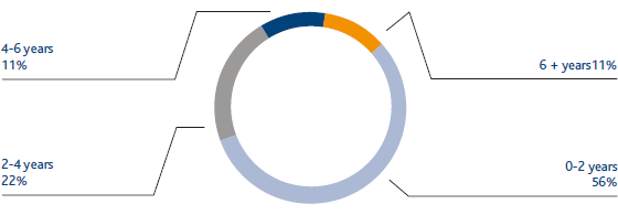 Seniority of the directors on the Board (pie chart)