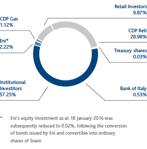 Composition of shareholder (pie chart)