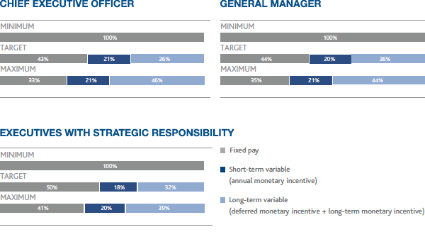 Theoretical pay mix for the CEO, General Manager and executives with strategic responsibilities – Chief Executive Officer (bar chart)