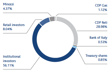 Composition of shareholder structure (pie chart)