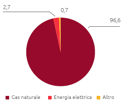 Consumi energetici per fonte di utilizzo (%) (Grafico a torta)