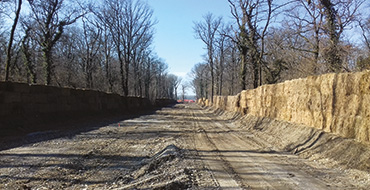 Modrone Forest: opening of the path and positioning noise barriers (Image)