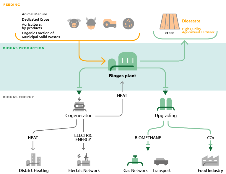 Snam: the biomethane network (graphic)