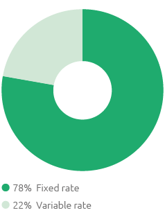 Debt management – Breakdown by type of rate (pie chart)