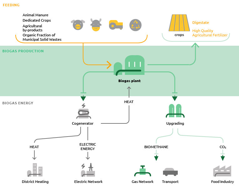 The biomethane cycle (Graphic)