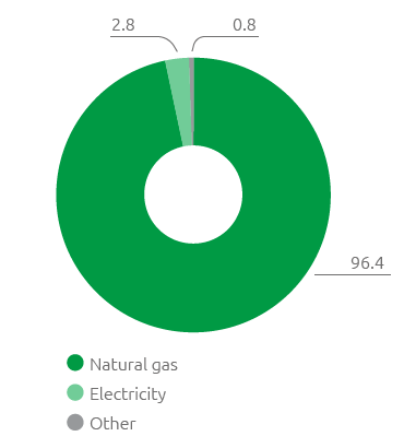 Energy consumption by source (%) (Pie chart)