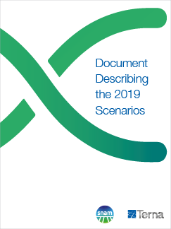 Document Describing the 2019 Scenarios (cover)