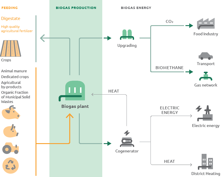 The biomethane production cycle (Graphic)