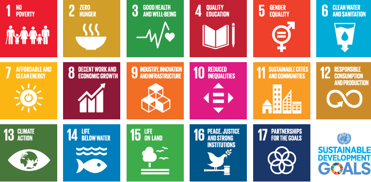 Sustainable Development Goals SDGs (Graphic)