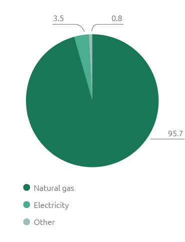 Energy consumption by source (%) (Pie chart)