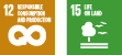 SDG cluster 12, 15 (Graphic)